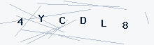 CAPTCHA verification code